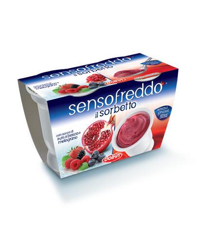 Berries and Pomegranate Senso Freddo